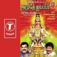 Pattukku Pallavi Chandra Bose Song Download Mp3