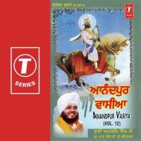 Anandpur Vasiya (Vol. 12) songs mp3