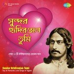 Sundar Hridirajan Tumi - Top 20 Romantic Love Songs Of Tagore songs mp3
