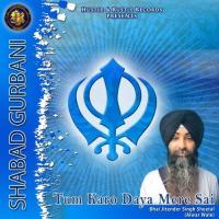 Tum Karo Daya Mere Sai Bhai Jitender Singh Sheetal Song Download Mp3