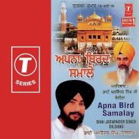 Apna Bird Samalay songs mp3