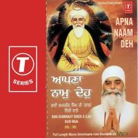 Apna Naam Deh (Vol. 105) songs mp3