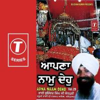 Apna Naam Deho (Vol. 29) songs mp3