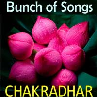 Borosa Borose Jhori Chakradhar Song Download Mp3