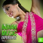 Indian Music Experience, Vol. 6 songs mp3