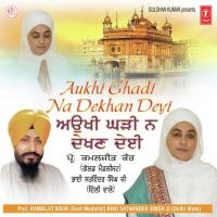 Aukhi Ghadi Na Dekhan Deyi songs mp3