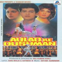 Aulad Ke Dushman songs mp3