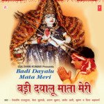 Apne Rang Mein Rag De Bhawani Bela Sulakhe,Debashish Song Download Mp3