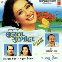 Baharla Gulmohar songs mp3