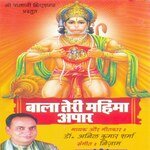 Sallasar Dham Jo Aaye, Balaji Ko Dhyay Dr. Anil Kumar Sharma Song Download Mp3