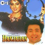 Banjaran (1991) - Teri Banjaran  Song Download Mp3