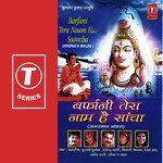 Bhole Ji Tere Dham Javed Ali,Tulsi Kumar,Debashish Dasgupta,Rekha Rao,Shailendra Bharti,Upender Verma,Shivani Chanana Song Download Mp3