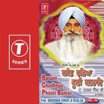Basant Chadheya Phooli Banrai (Vol. 24) songs mp3