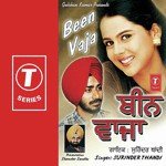 Vichhora Surinder Thandi Song Download Mp3