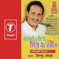 Bhagle Tota Chodi Ke Khota songs mp3