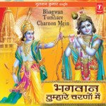 Bhagwan Tumhare Charnon Mein songs mp3
