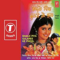 Babuni Ke Hamara Kya Ho Gayil Suresh Wadkar,Preeti Uttam Singh Song Download Mp3