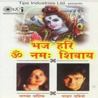 Bhaj Hari Om Namah Shivay Dhun (Female) Alka Yagnik,Babul Supriyo Song Download Mp3