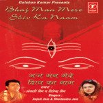 Bhaj Man Mere Shiv Ka Naam songs mp3