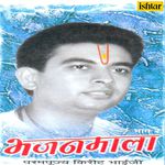 Bhajan Mala - Vol. 2 songs mp3