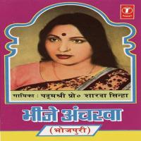 Bheeje Acharwa Ta Bheeje Ho Sharda Sinha Song Download Mp3