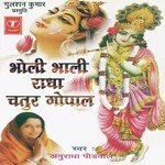 Bholi Bhali Radha Chatur Gopal songs mp3