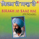 Birakh Jo Saaz Hai songs mp3