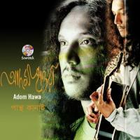 Adom Hawa songs mp3