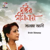 Je Chilo Dristir Shimanay Salma Ali Song Download Mp3