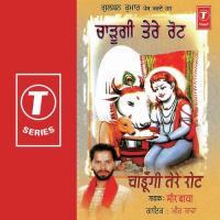 Chadoongi Tere Rot songs mp3