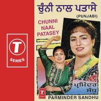 Rabba Warga Nananey Tera Bir Parminder Sandhu Song Download Mp3