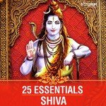 25 Essentials - Shiva songs mp3