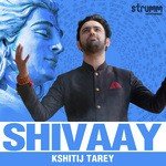 Shivaay - Rudrashtakam Kshitij Tarey Song Download Mp3