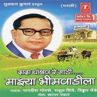 Bheemamule Milala Re Maan Vitthal Dhende,Rahul Shinde,Jagdish Gorse Song Download Mp3
