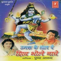 Bhola Waghambar Wala Pushpa Anand Song Download Mp3