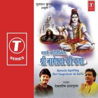 Daswein Jyotirling Shri Nageshwar Ki Katha Debashish Dasgupta Song Download Mp3