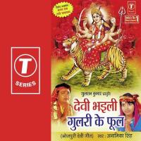 Devi Bhayili Gulri Ke Phool songs mp3