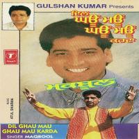 Dil Ghau Mau Ghau Mau Karda songs mp3