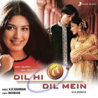 Dil Hi Dil Mein songs mp3