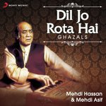 Dil Jo Rota Hai songs mp3