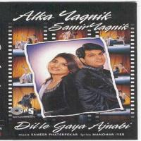 Aate Jaate Hui Tumse Alka Yagnik,Samir Yagnik Song Download Mp3