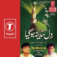 Pyara Naam Naam-E-Mohobbat Abu Saba,Zahid Naza Song Download Mp3