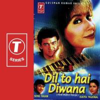 Dil To Hai Diwana songs mp3