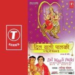 Mere Saare Kasht Nivaare Meri Ambe Jagdmbe Narendra Chanchal Song Download Mp3