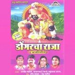 Dongarcha Raja songs mp3