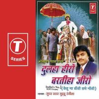 Dulha Hero Barteha Jeero songs mp3