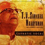 T.V. Sankaranarayanan - The Carnatic Maestro songs mp3