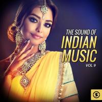 The Sound of Indian Music, Vol. 9 songs mp3