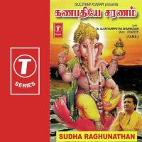 Sri Gana Naayakashtagam Sudha Ragunathan Song Download Mp3