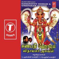 Ganapathy Homam, Vinayakar Ashtothram(2) Srinivas,Innisaimani,T.S. Aswini Shastry,T.S. Rohini Shastry,Mamabalram Song Download Mp3
